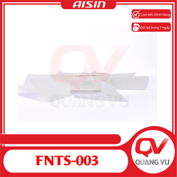 FNTS 003 01