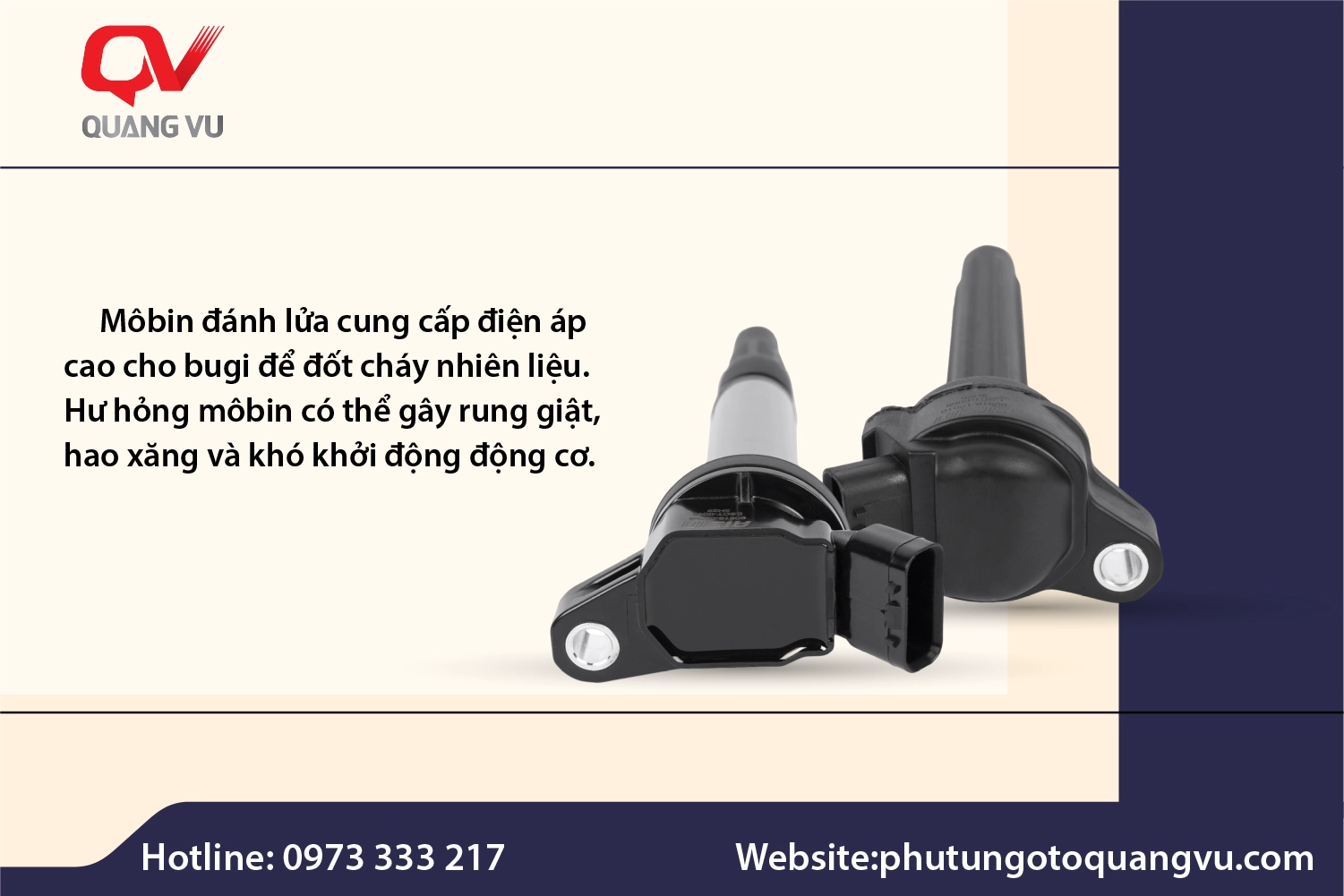 Hình ảnh chương 2