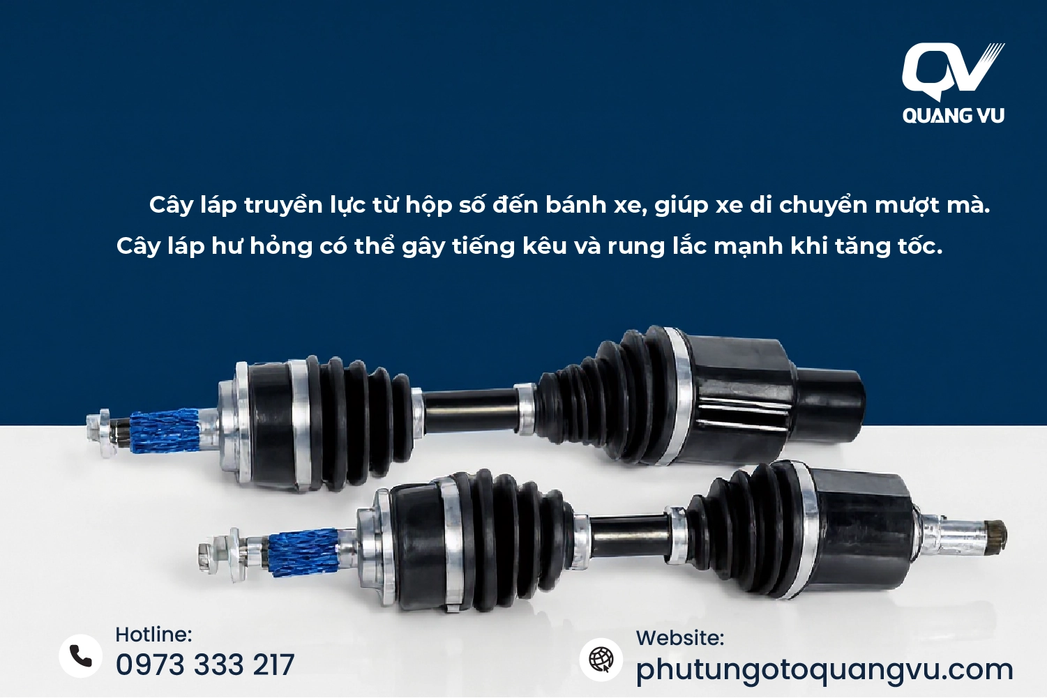 Hình ảnh chương 2